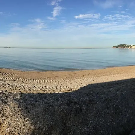 Mon Paradis De Terrebrune Piscine Et Farniente *