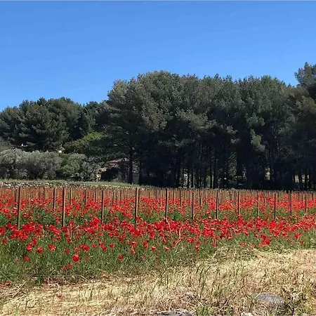 Mon Paradis De Terrebrune Piscine Et Farniente